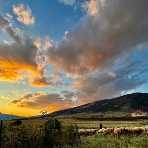 Meet your Posher, Stella